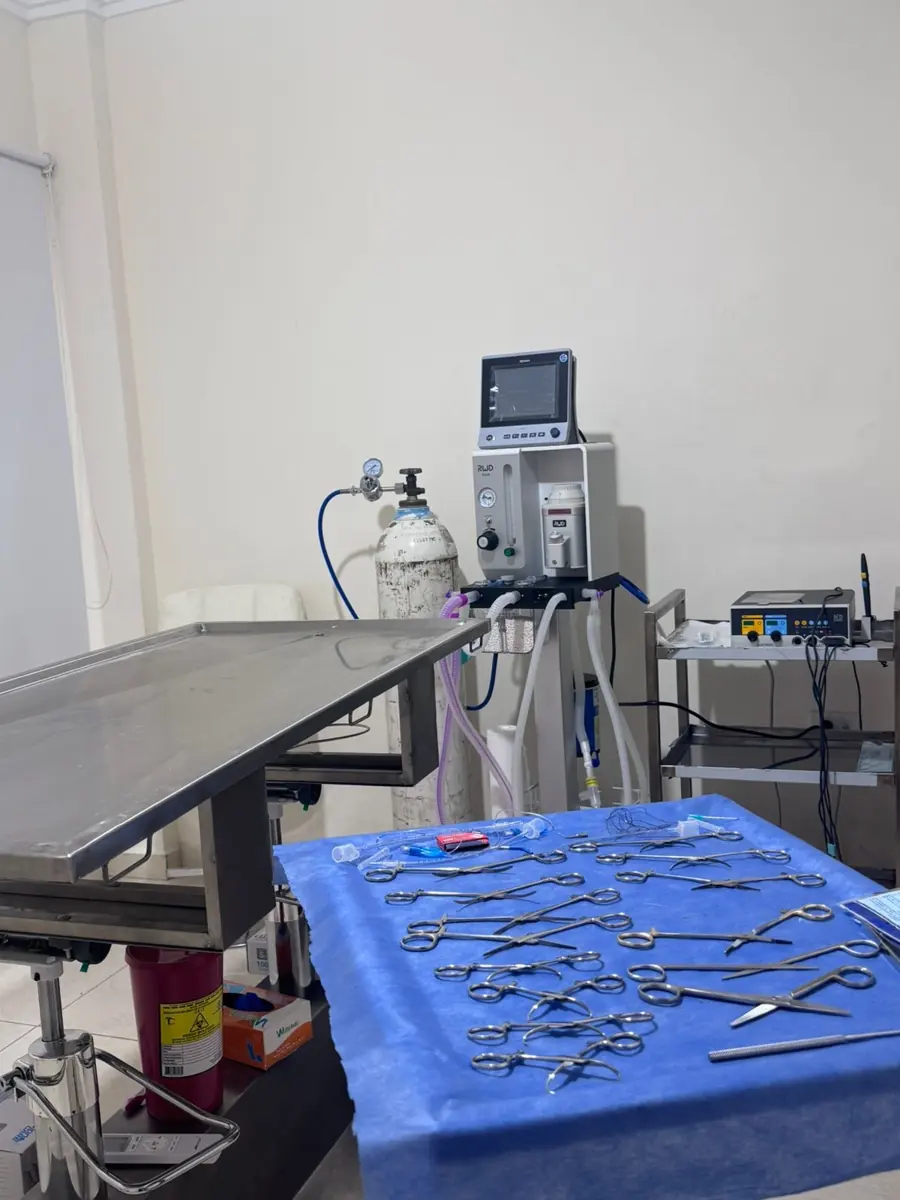 Quirófano de RenzoVets con anestesia inhalada
